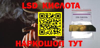 гашик Ярославль