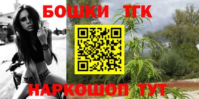 гашик Ярославль